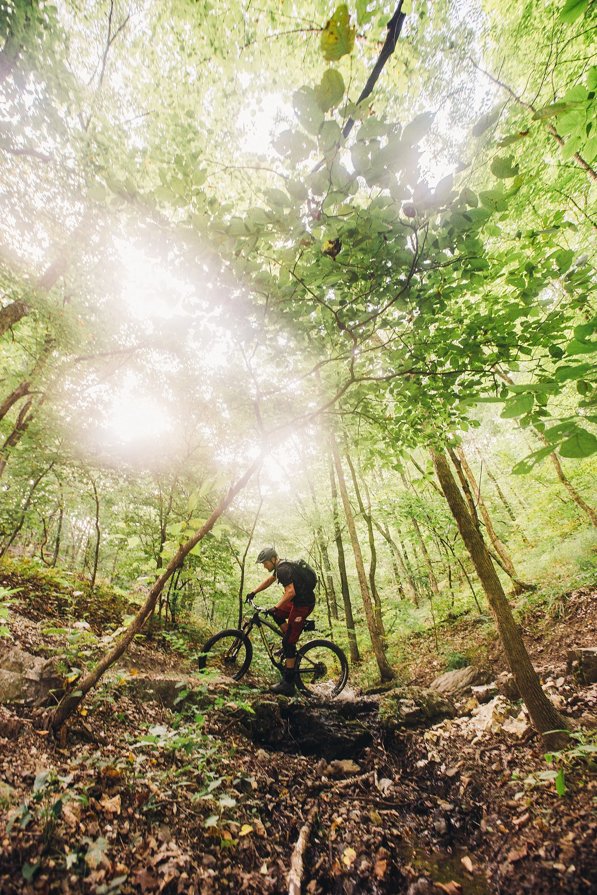 Novo Studio | Oz Trails NWA | Northwest Arkansas | Mountain Biking Photography