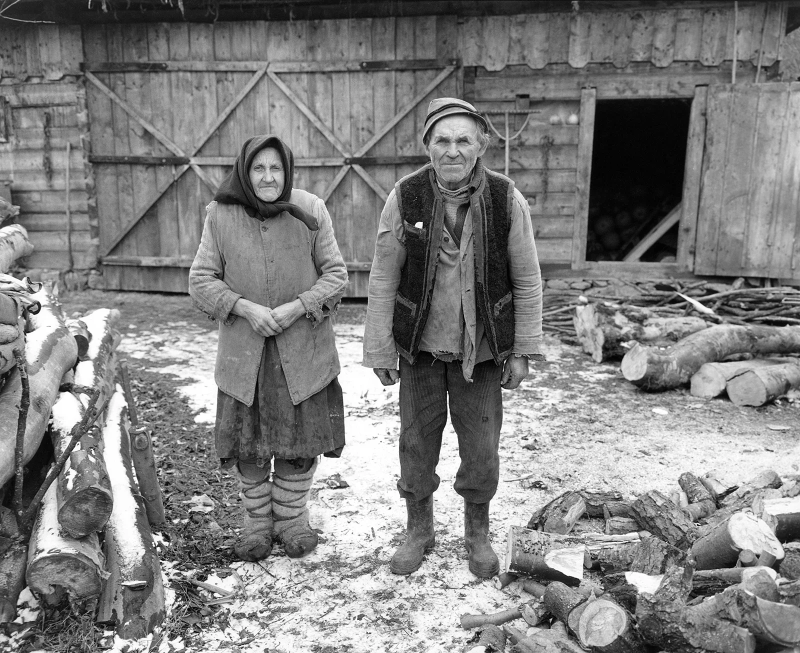 Vasile and Palăguţa Borodi, Budeşti
