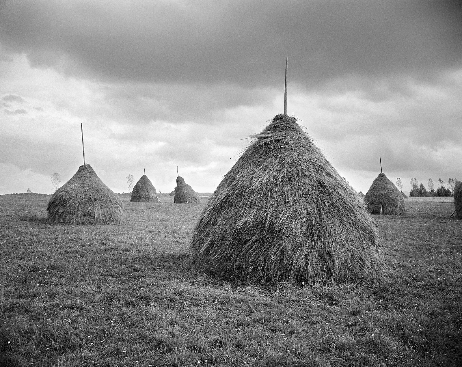 Haystack Village, Sîrbi