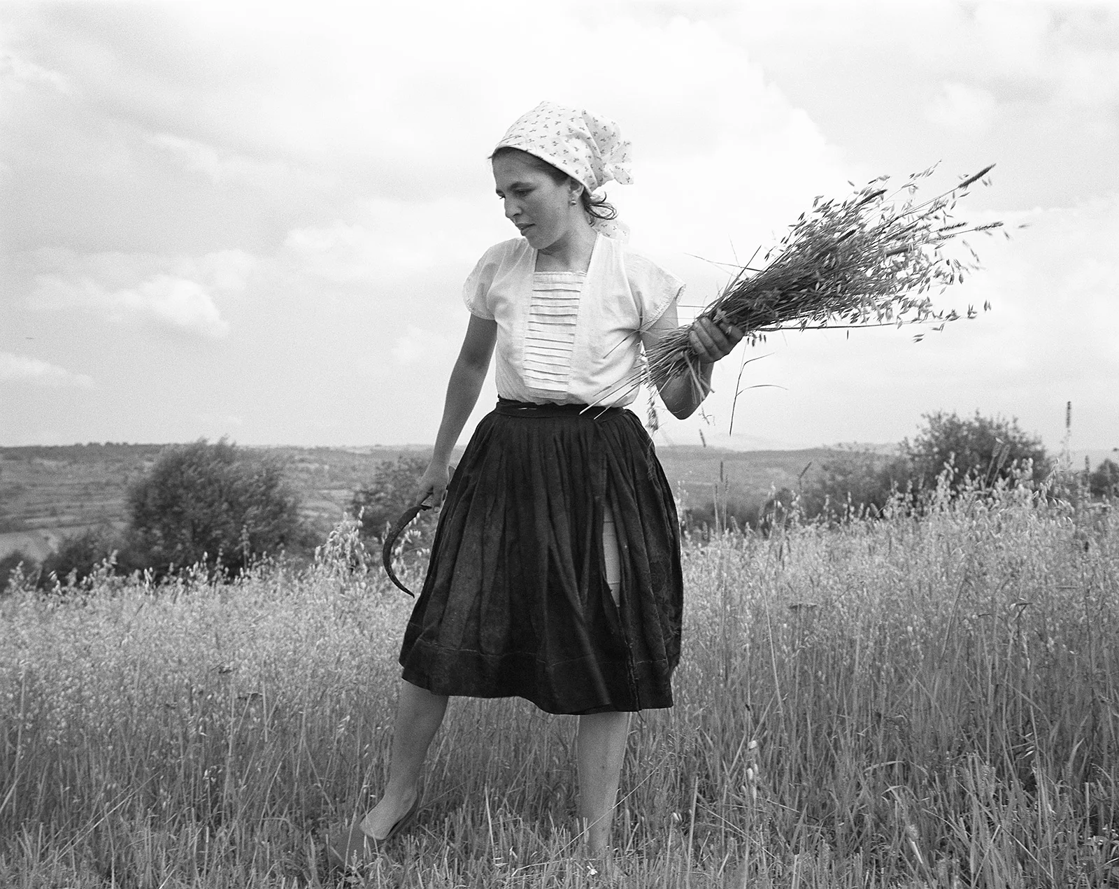 The Harvest, Sîrbi