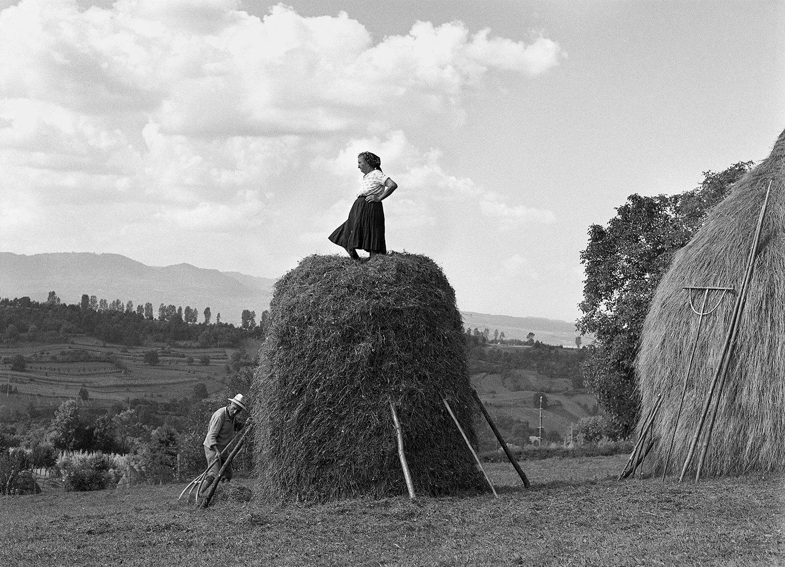 Making a Haystack, Sîrbi