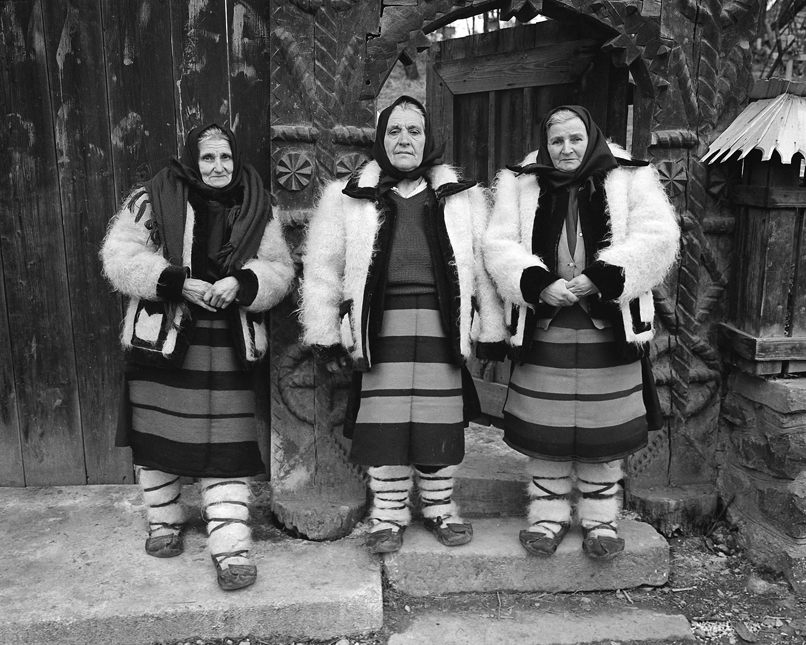 Three Bătrîne, Budeşti
