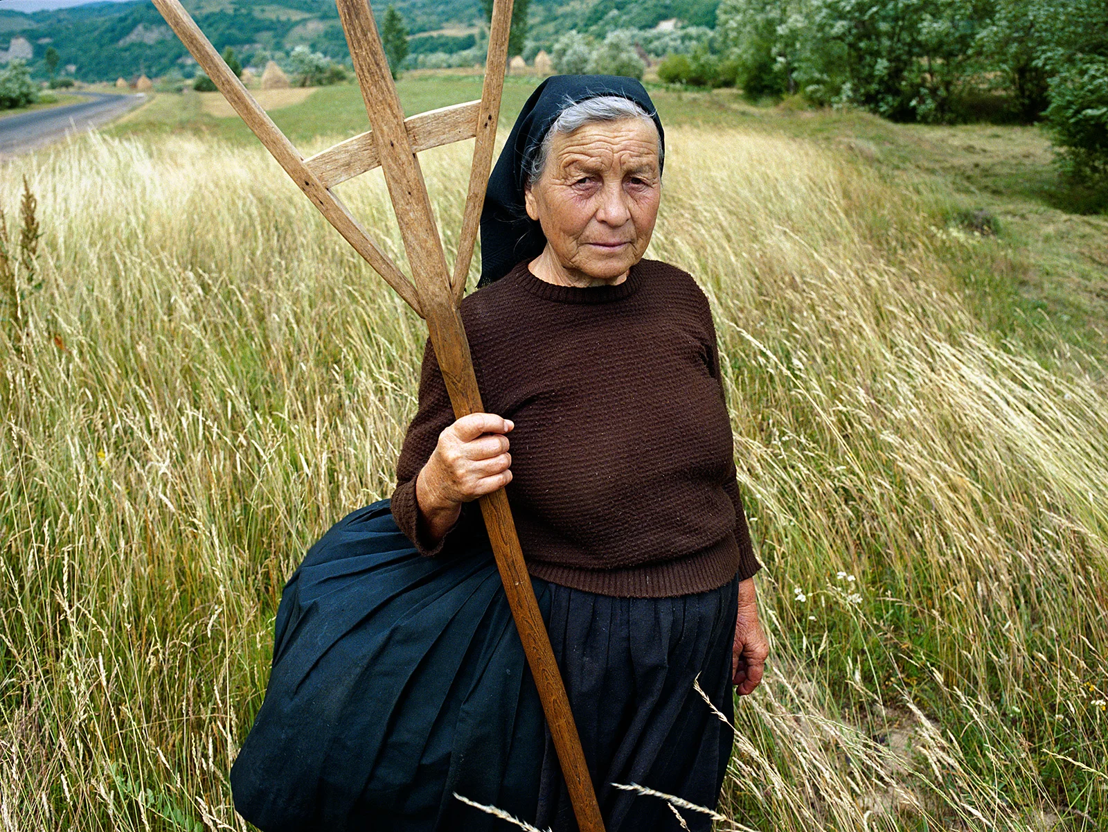Tiranca, Sîrbi