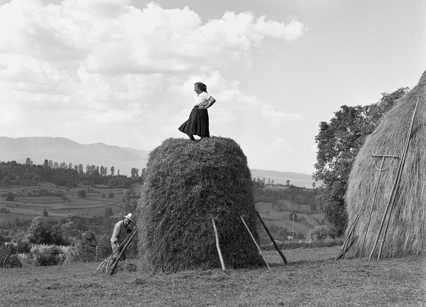 Making a Haystack, Sarbi, Maramures, 2002