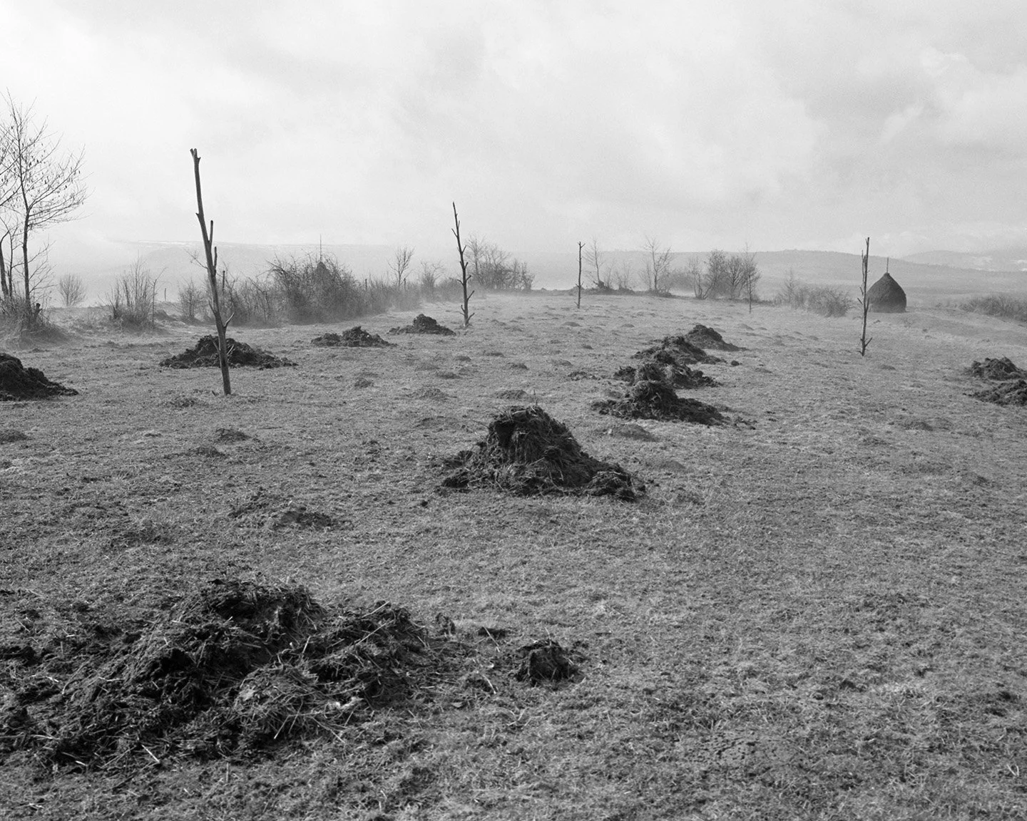 Landscape.jpg