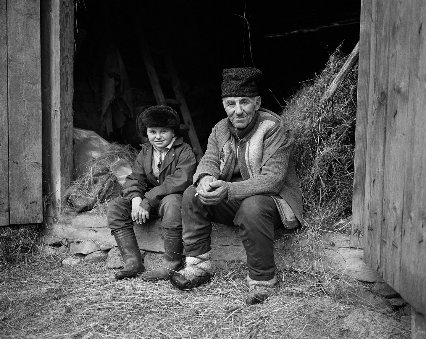 Color of Hay_30.jpg