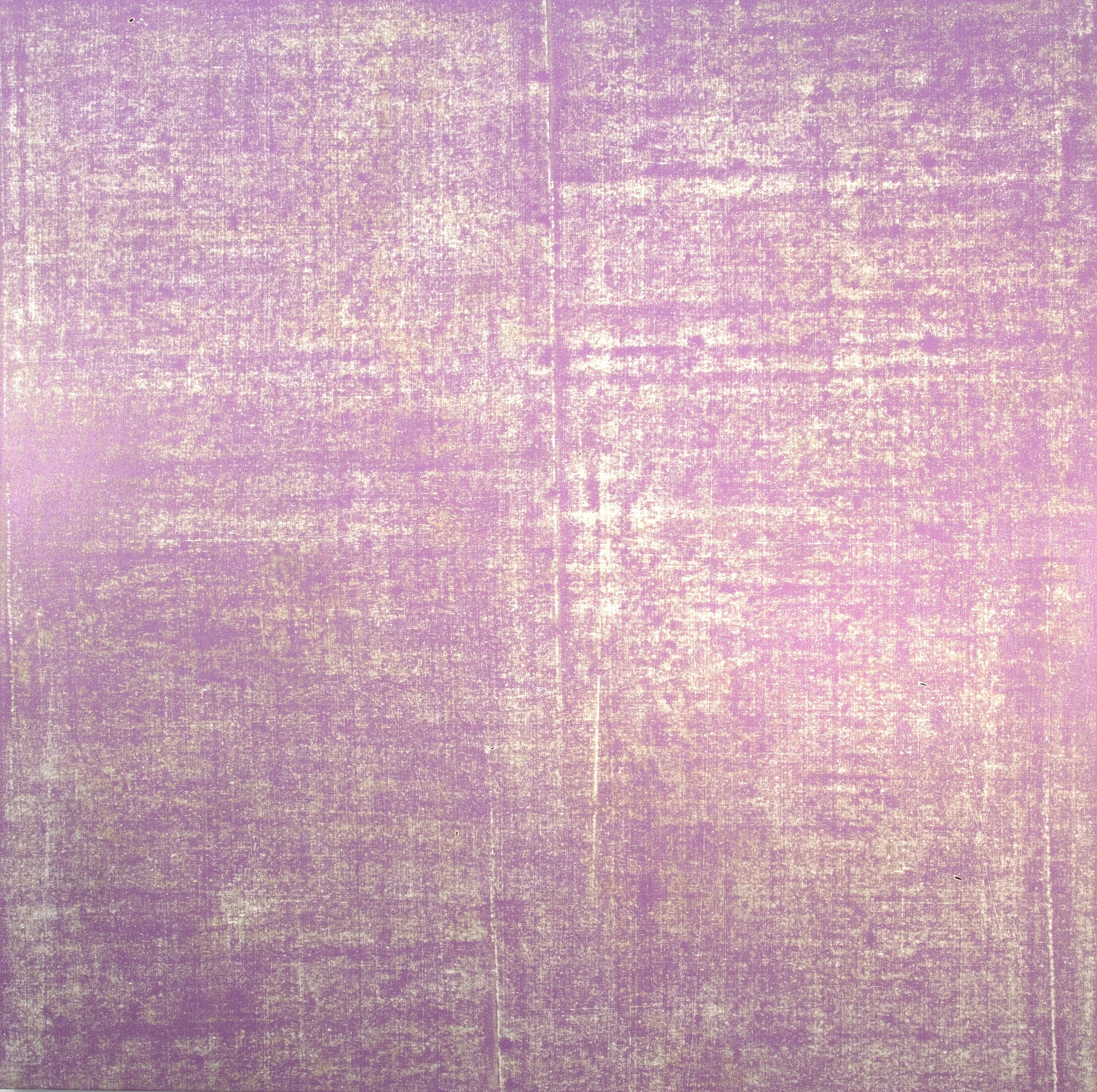 Big Lavender
