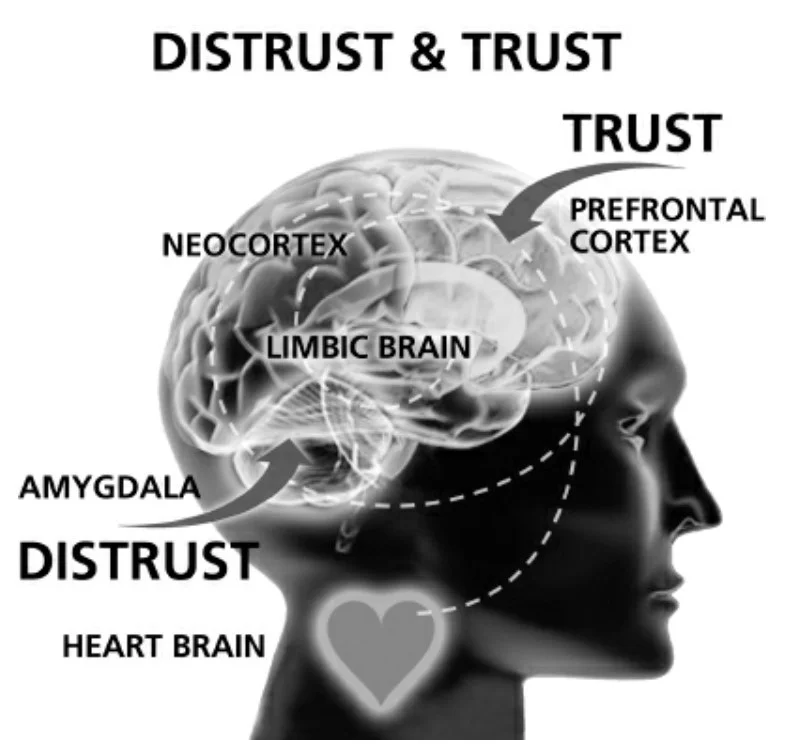 conversational intelligence image trust distrust.jpg