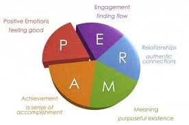Martin Seligman’s PERMA model - understanding how to help people search for their happiness in their work assists you have rich conversations.