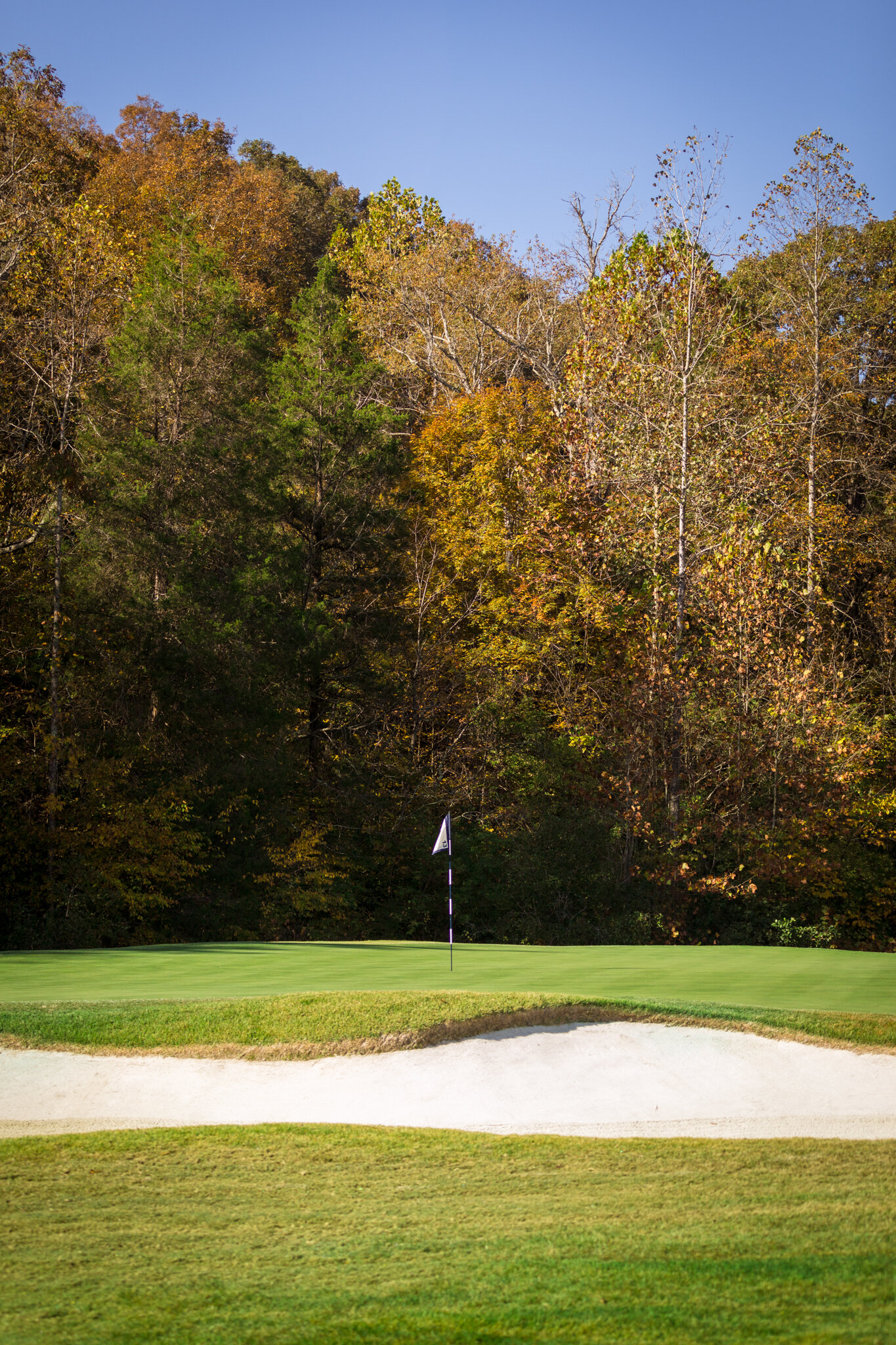  The Golf Club of Tennessee 