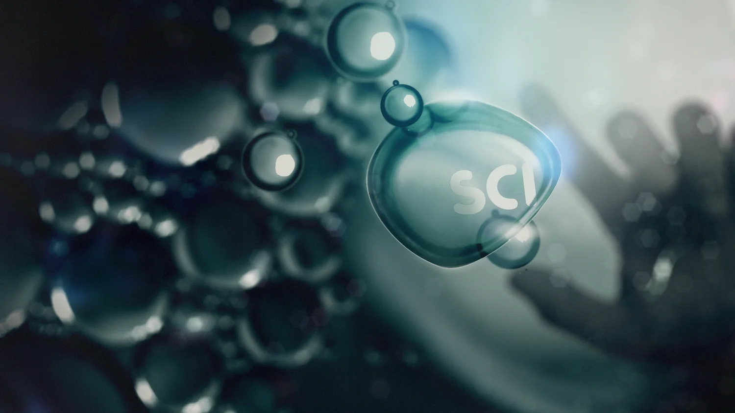 FR-SCI-3.jpg