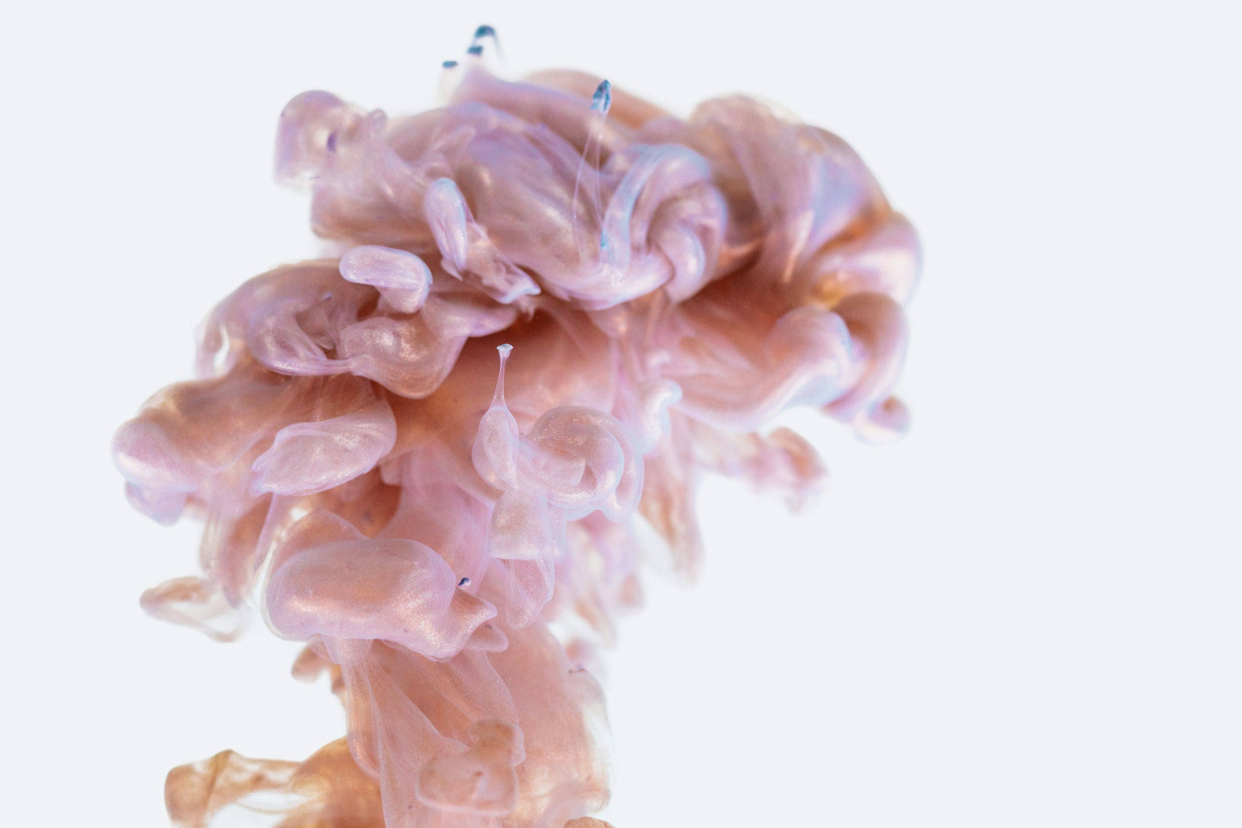 unsplash-image-Q5oCIFL2xKc.jpg