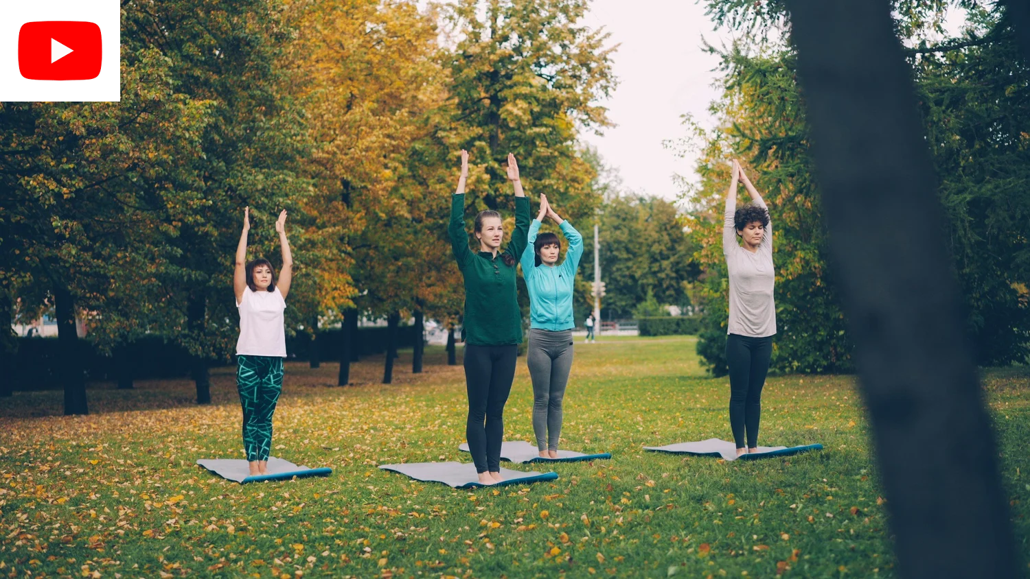 lactigo exercise image.png