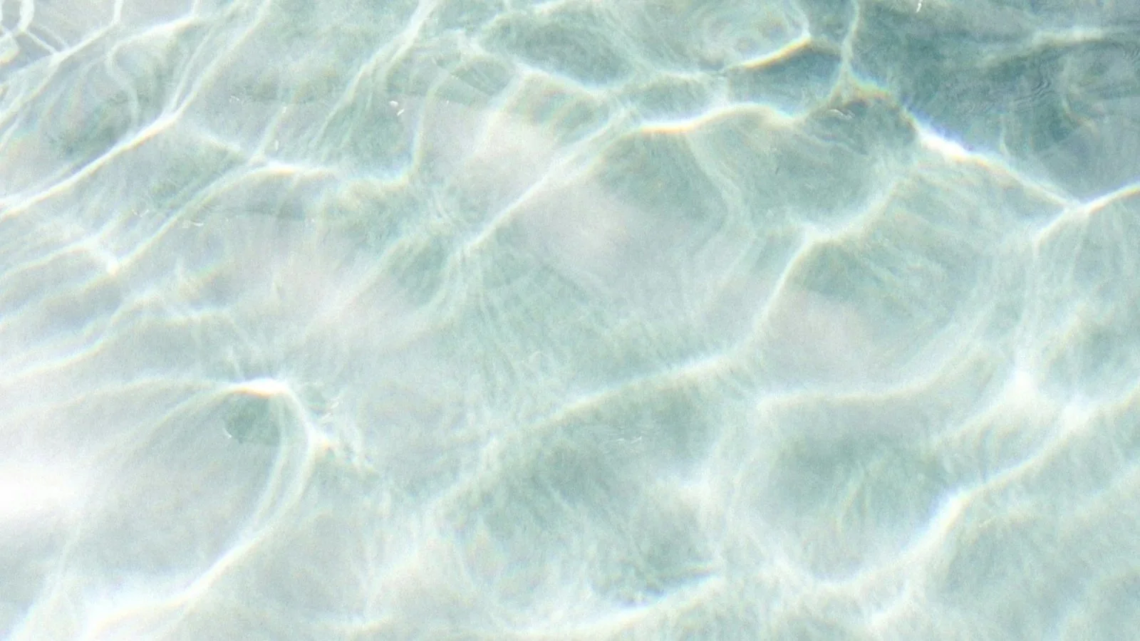 unsplash-image-2mKYEVGA4jE.jpg