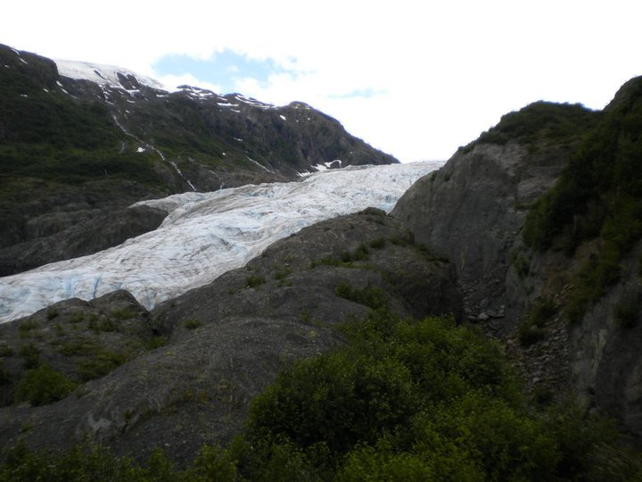Exit Glacier 2010