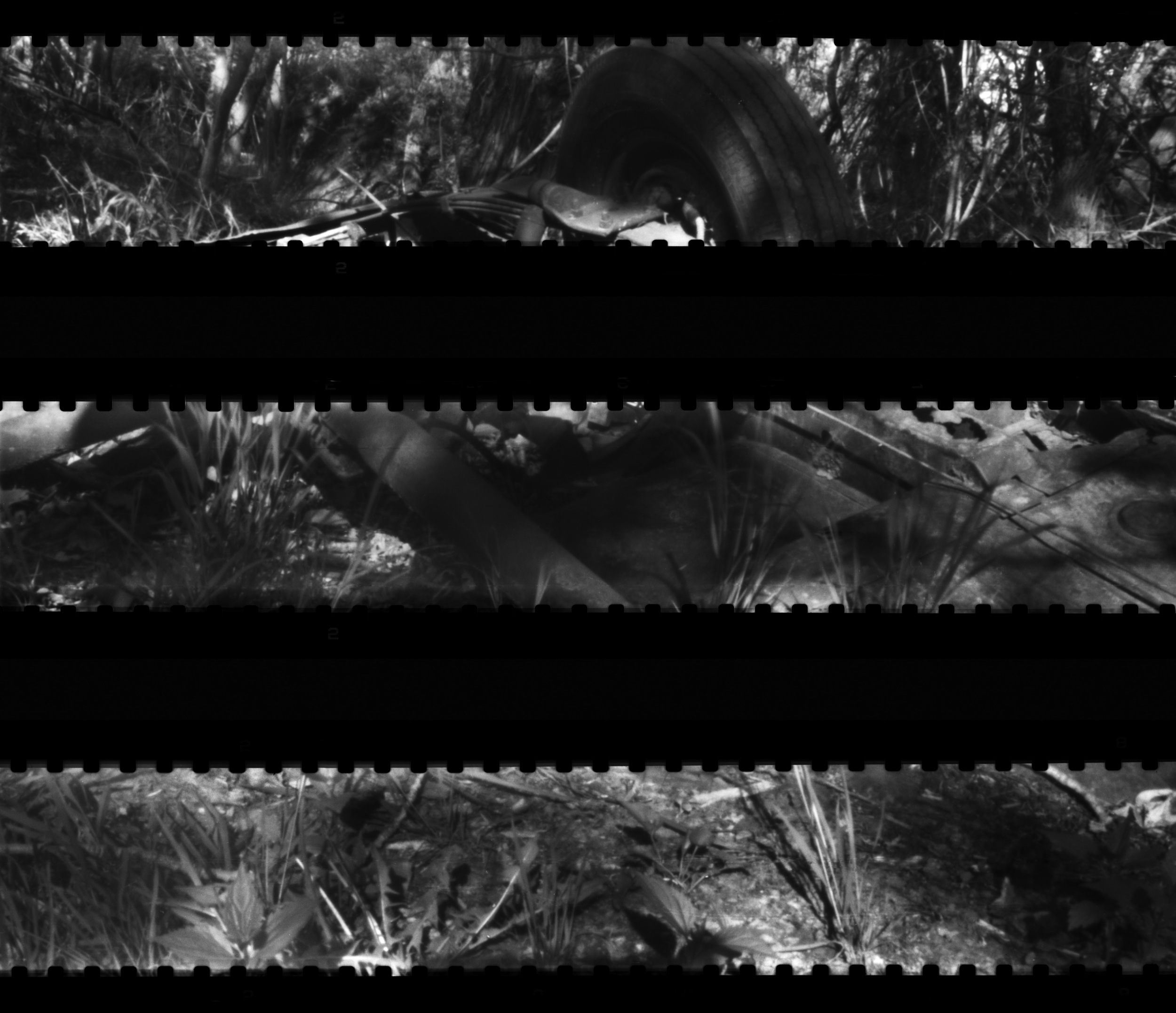 Scan Set 37 + .jpg