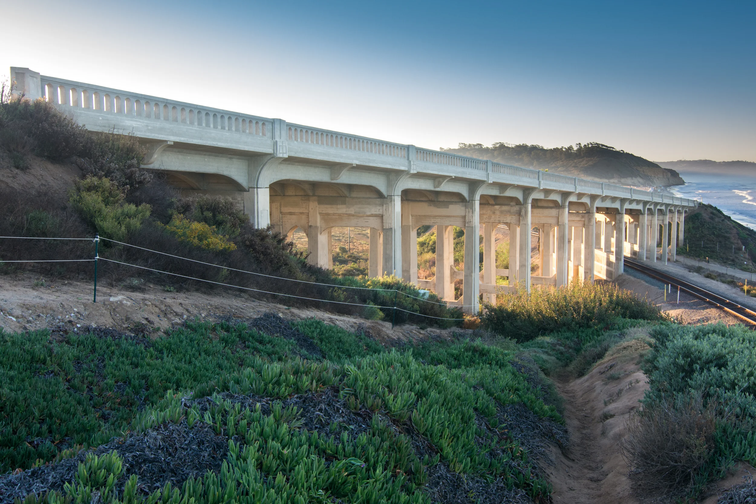 2015_NTorryPines_PFR-sm-1.4.jpg