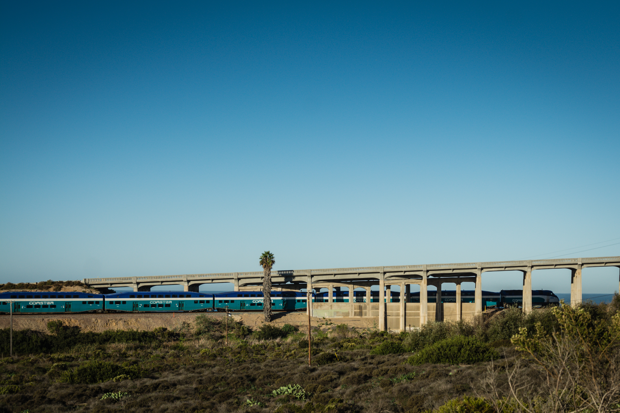 2015_NTorryPines_PFR-sm-2.6.jpg