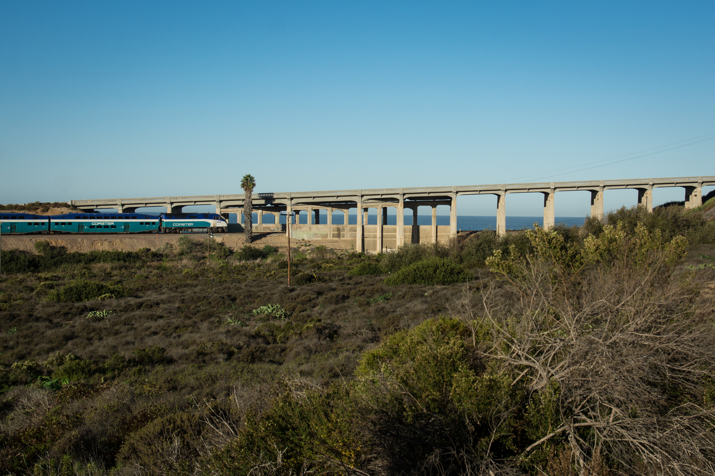 2015_NTorryPines_PFR-sm-2.4.jpg