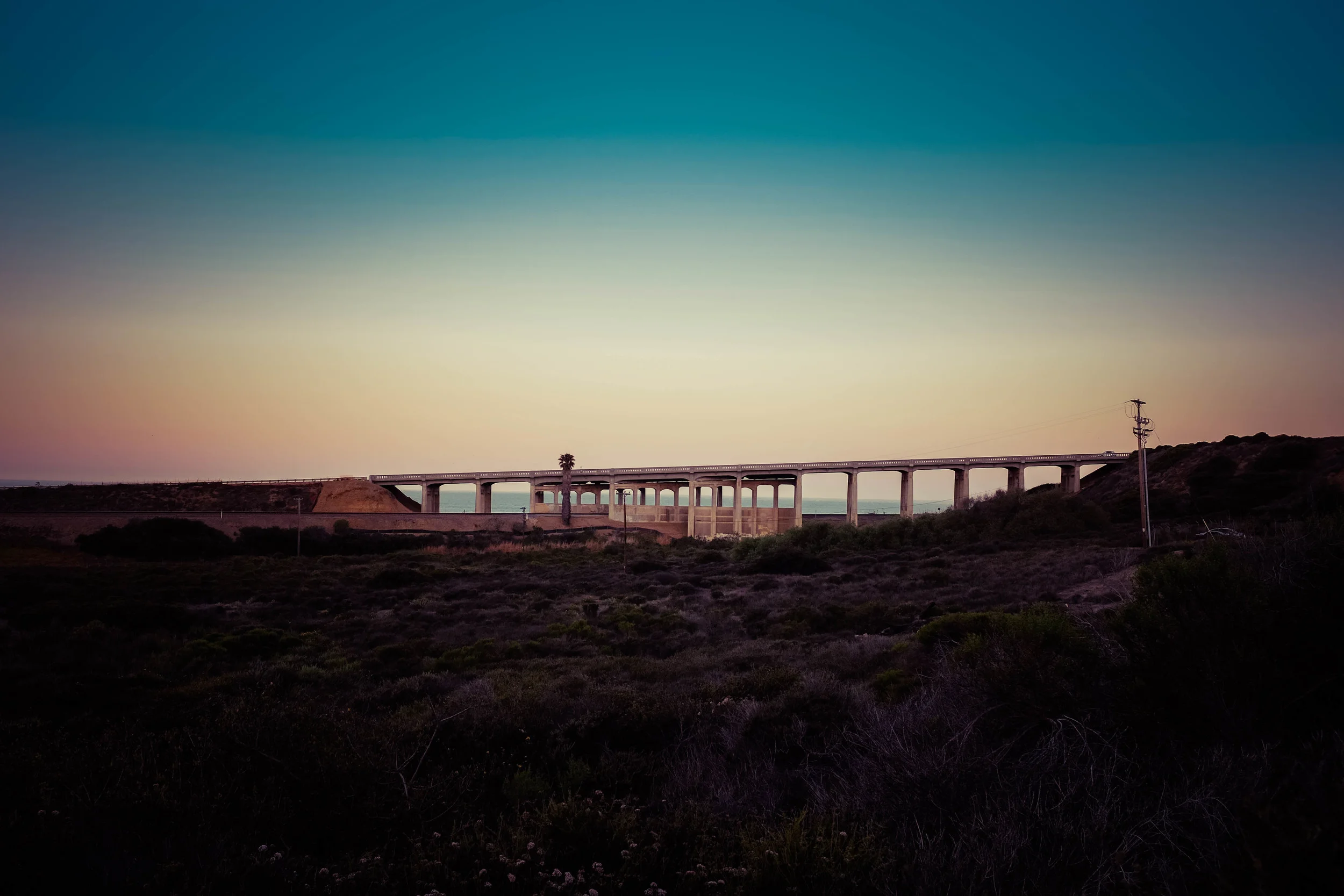 PDFphoto_NTorreyPines002.jpg
