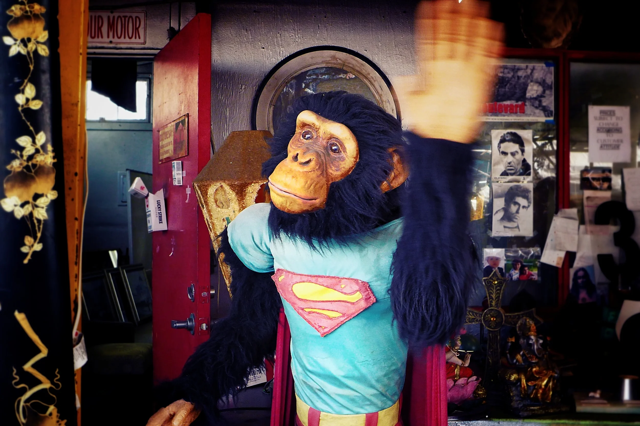 A mannequin wearing a gorilla mask with black furry hair, a turquoise Superman T-shirt, and a red superhero cape with a yellow ''S'' emblem, inside a shop with various posters and items in the background.