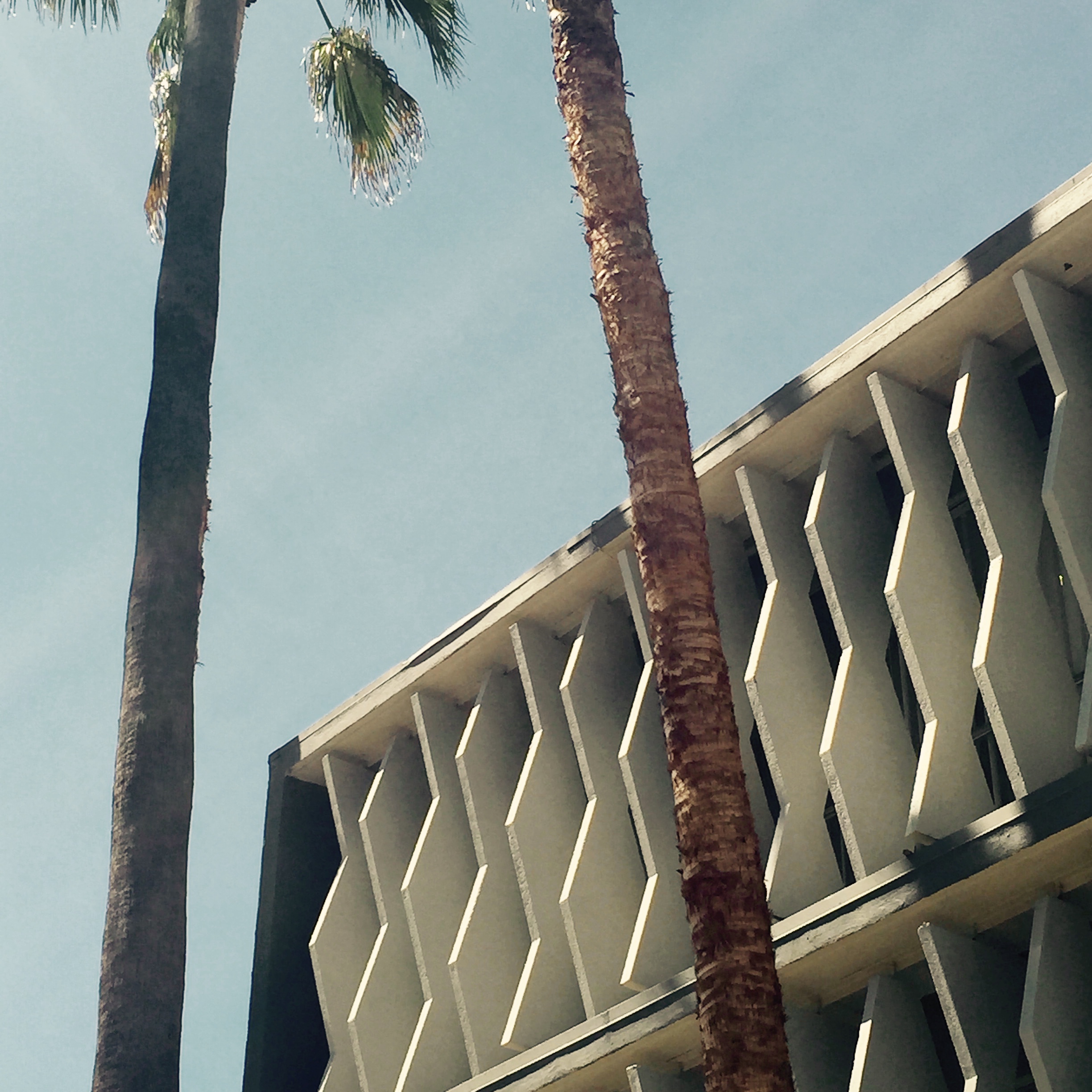 Hollywood