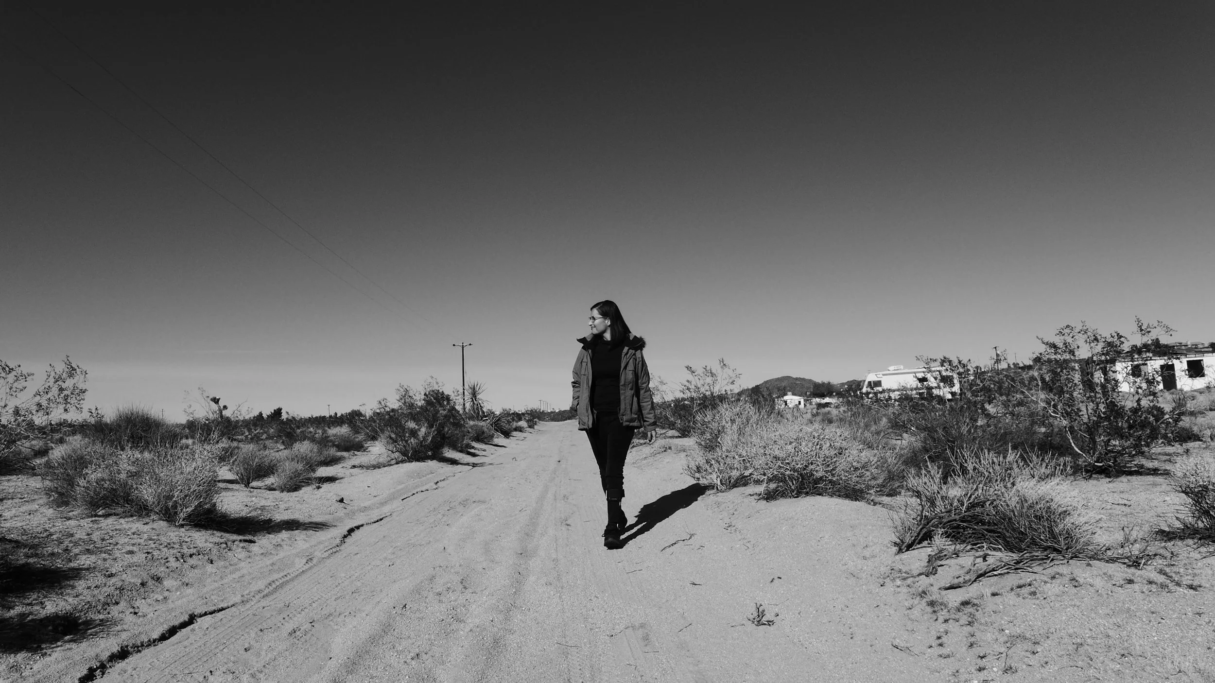 Lee, Joshua Tree