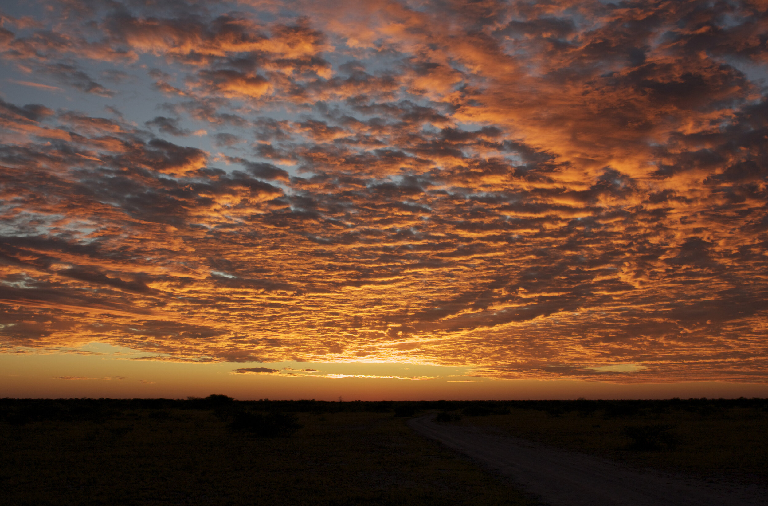 Great-Plains-conservation-sunset.jpg