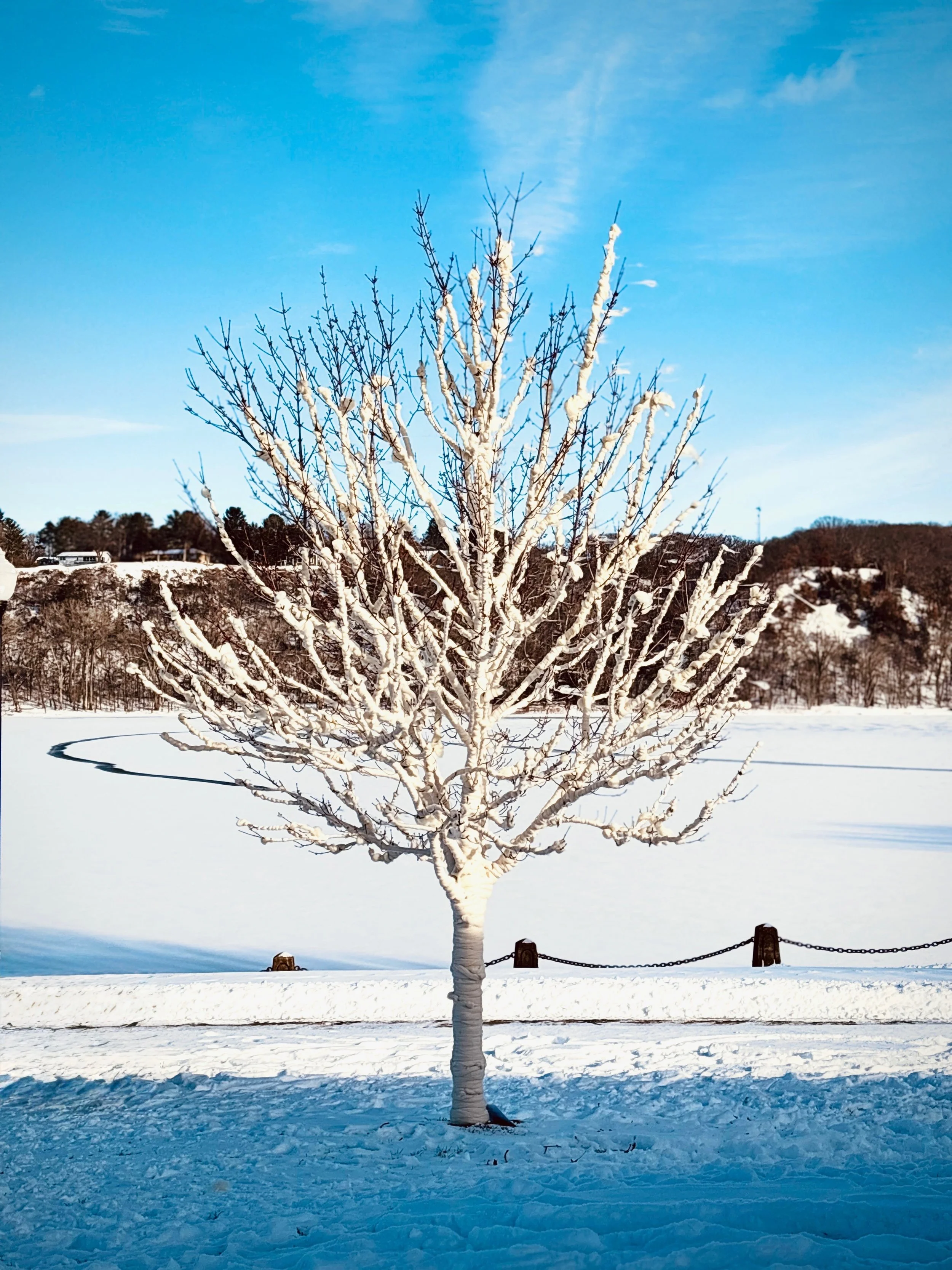 Wrap Me in a Blanket