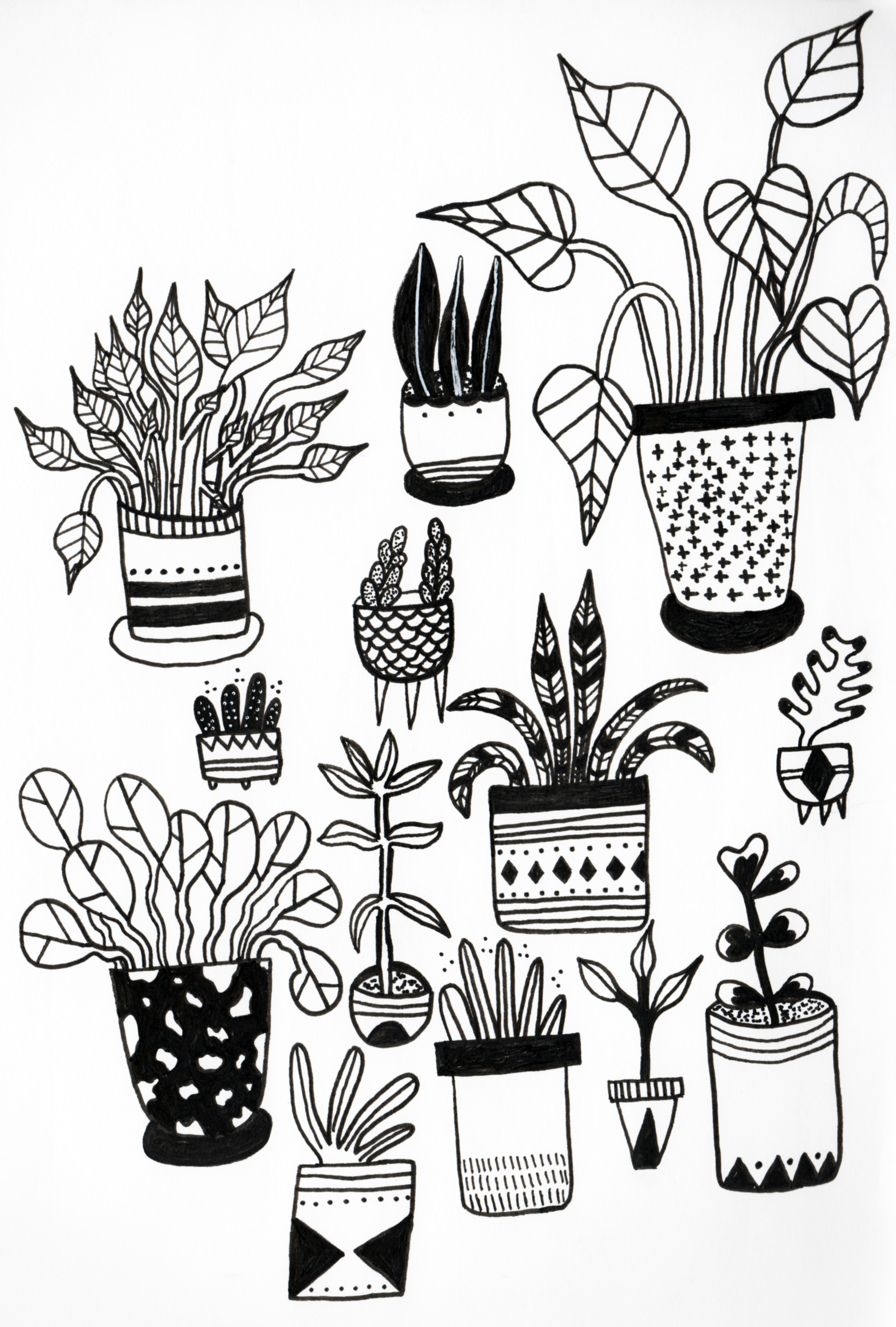 House Plants Draw/Paint 366 Project