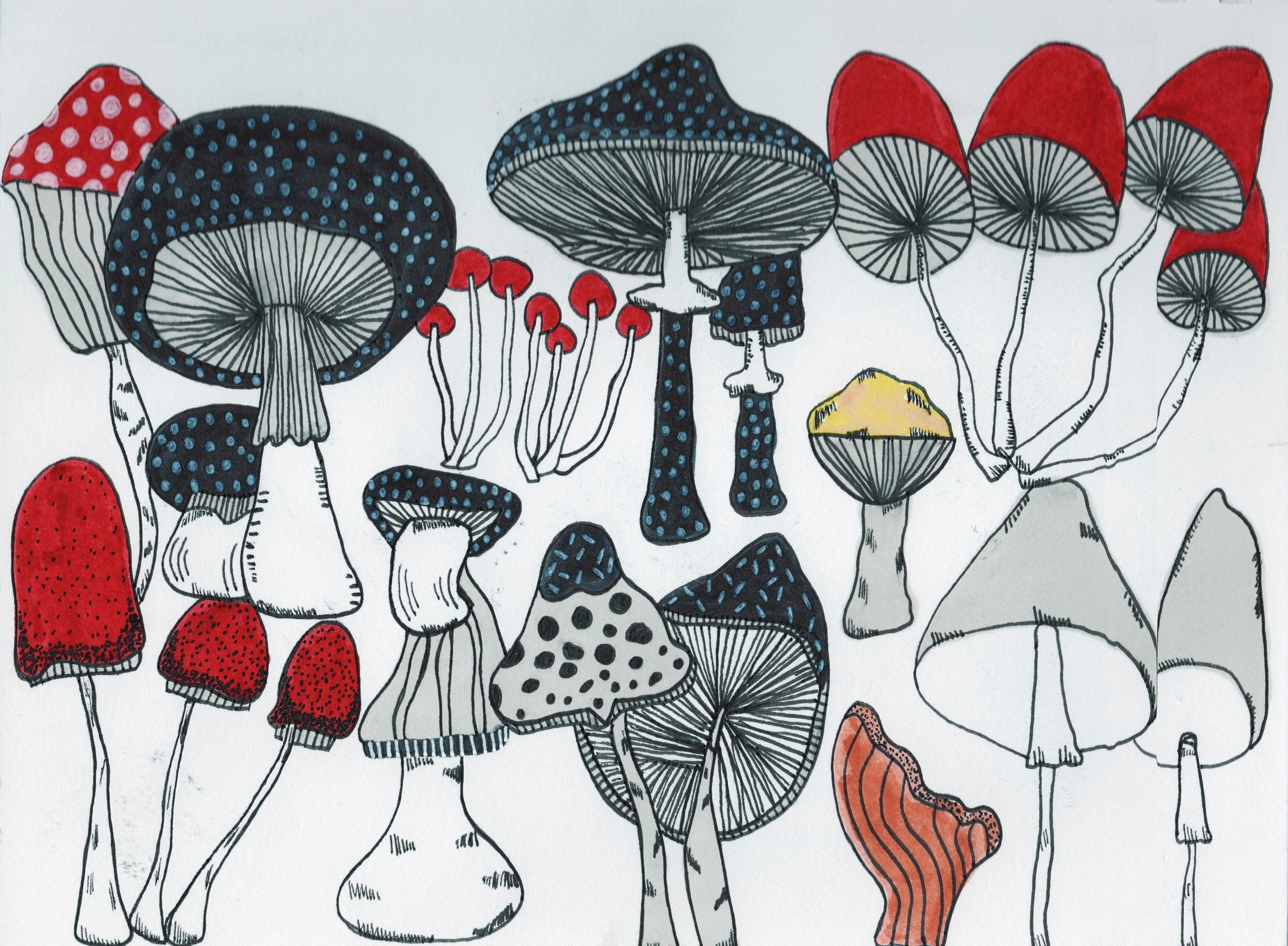 Mushrooms Draw/Paint 366 Project