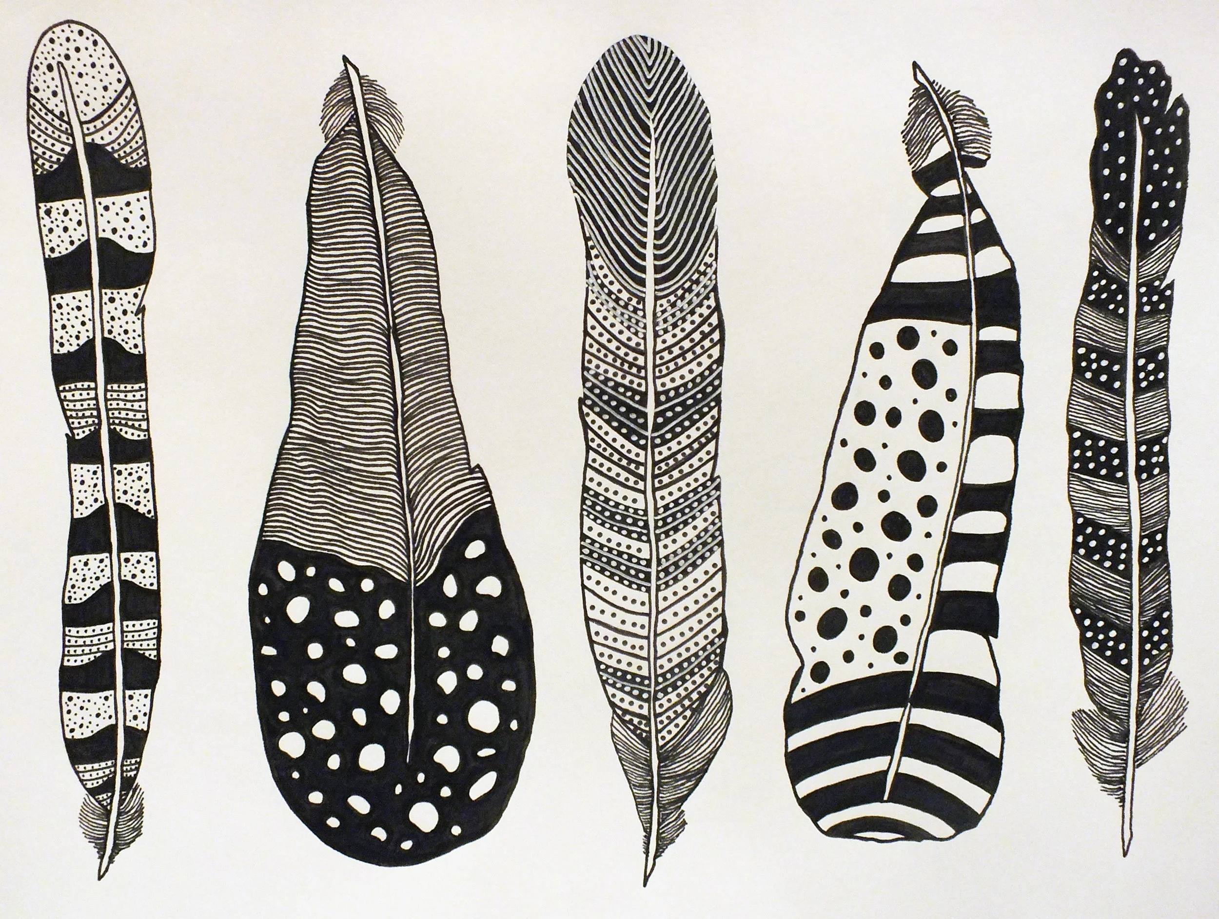 Feather Draw/Paint 366 Project