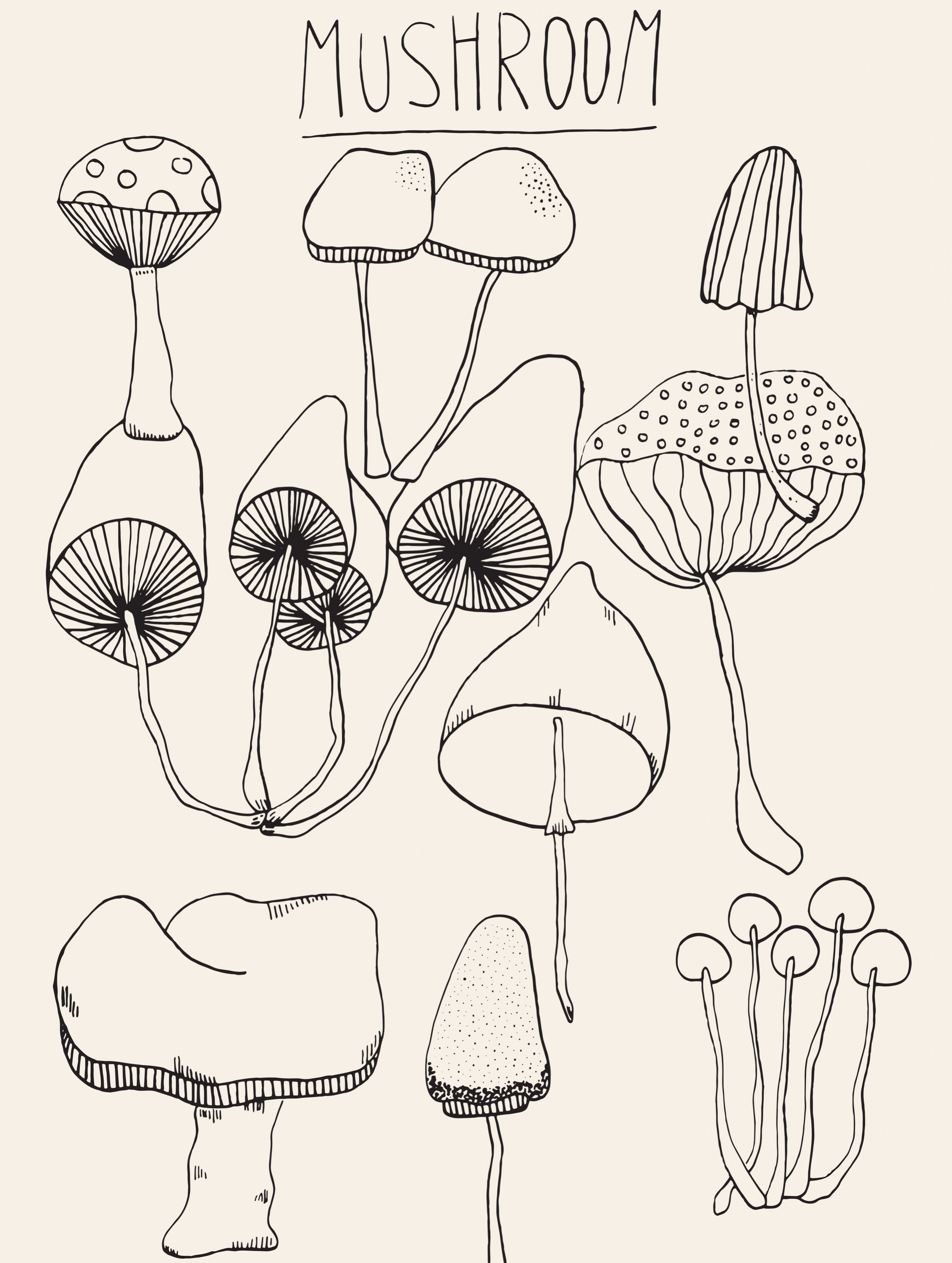 Mushroom Draw/Paint 366