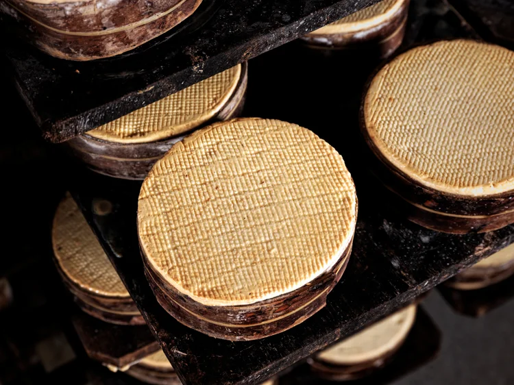 Cheese of Willi Schmid (Copy)