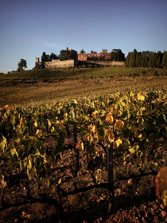 Castello di Brolio