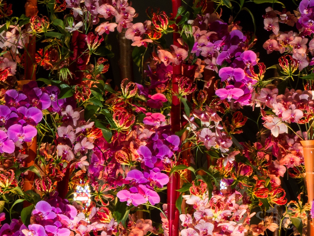 Strong colours together can be harmonious and exciting