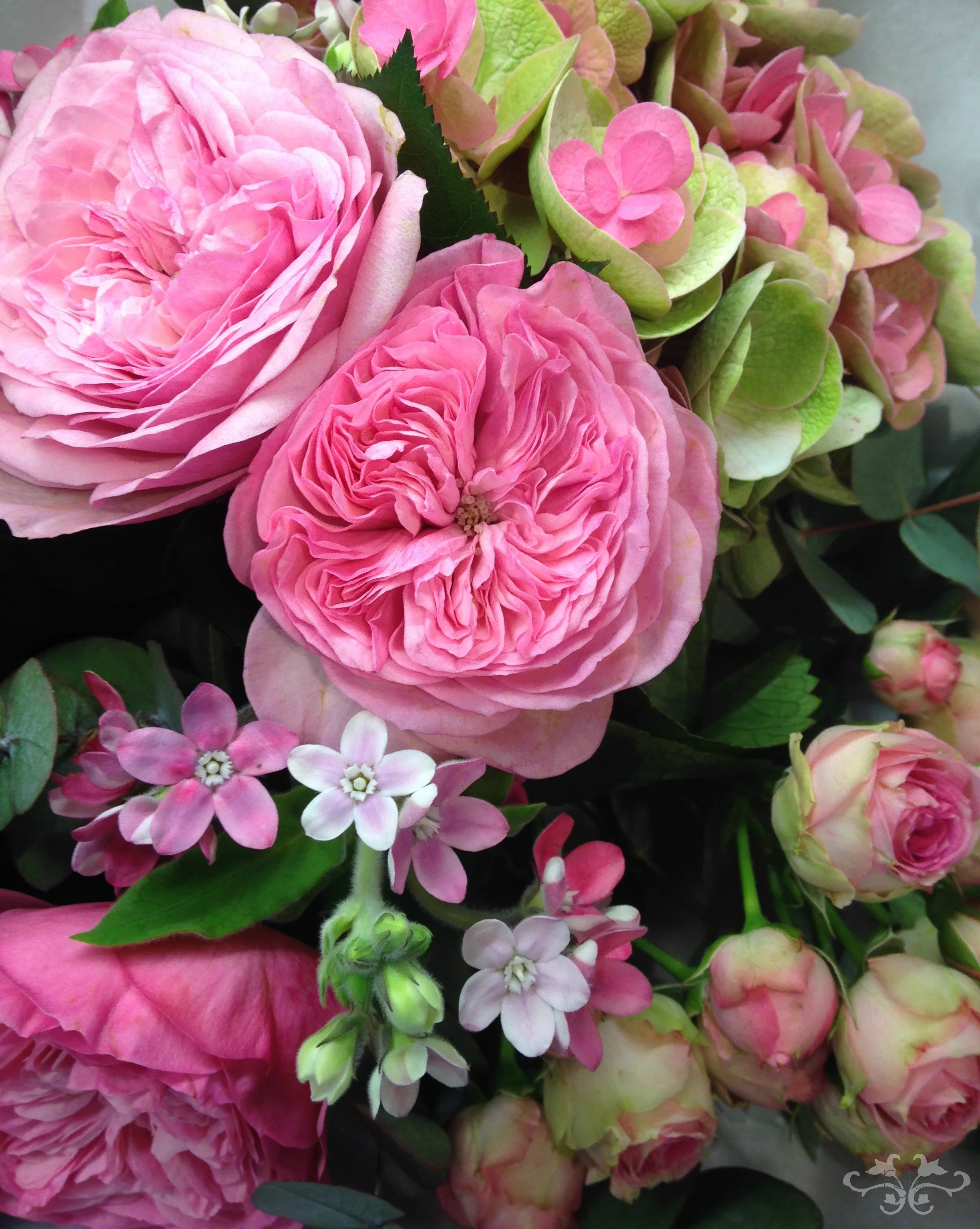 Garden and Spray Roses with Hydrangea