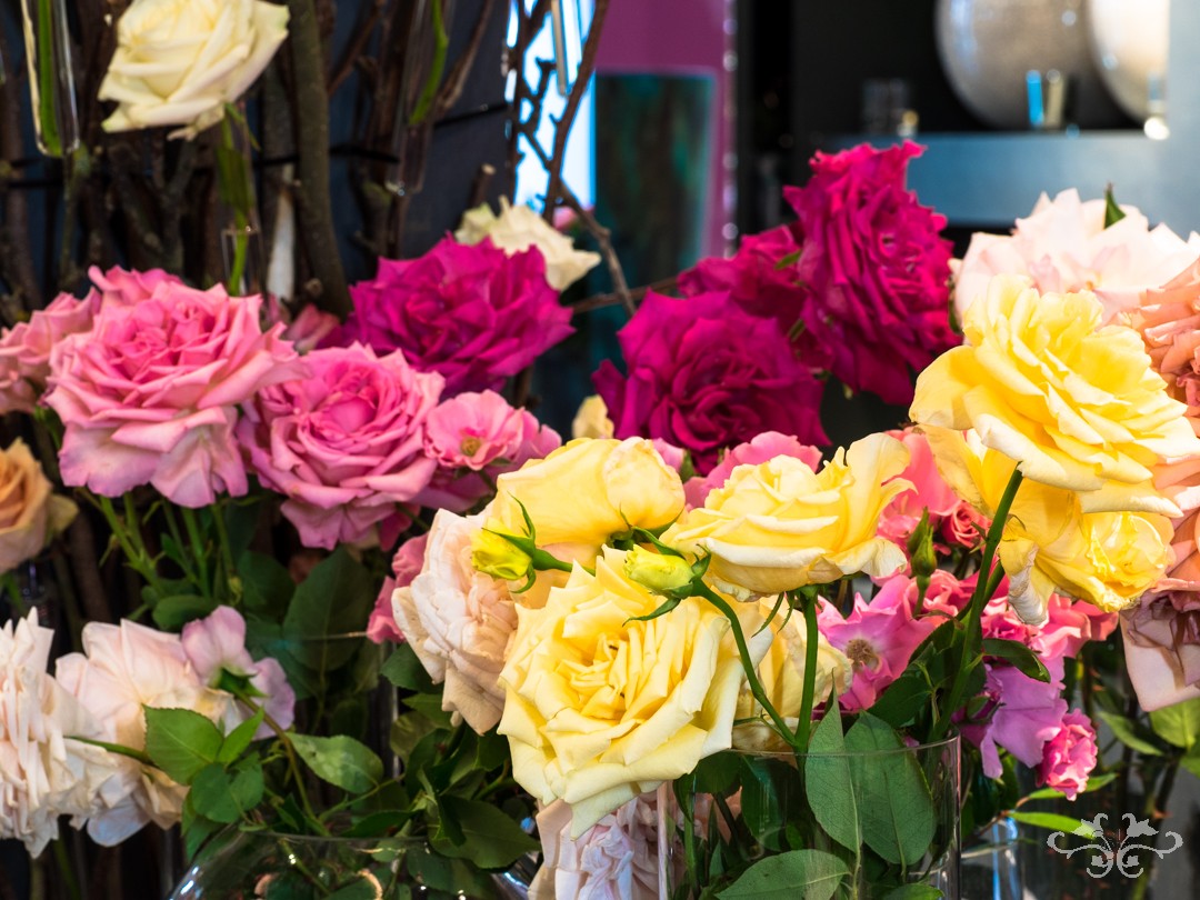Old Roses from the 18th and early 19th century at The Flower Lounge
