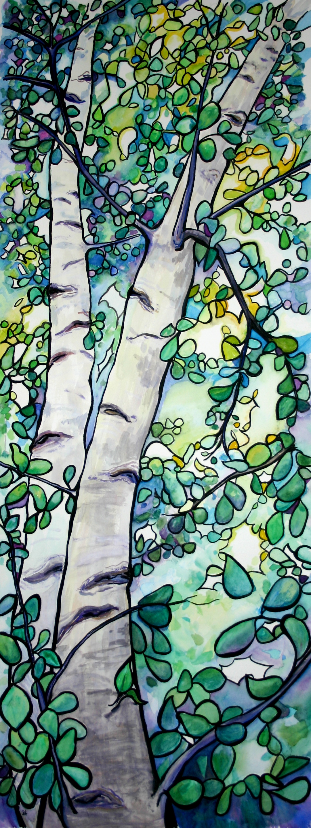 Birch Tree