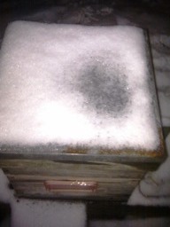 Hive with no Cosy