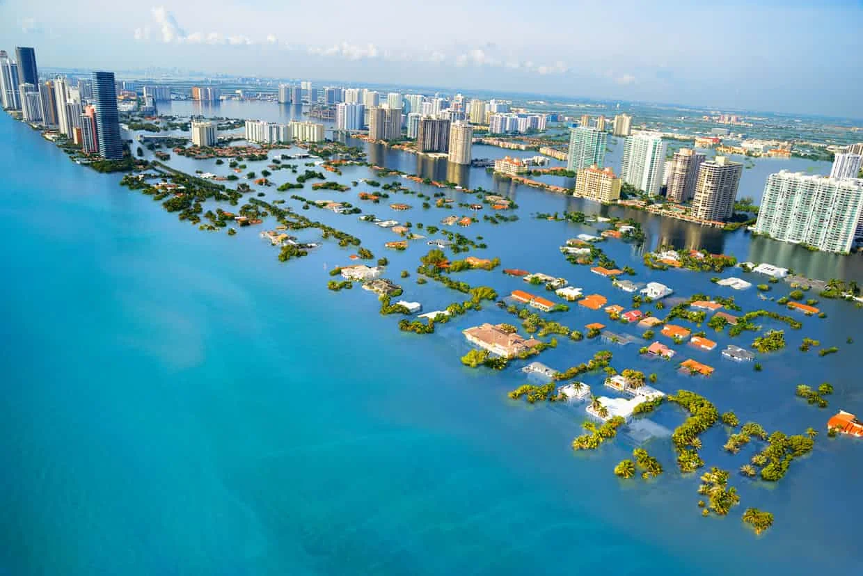 South Beach Miami.jpg