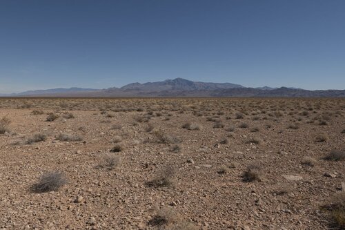 Nevada+Desert.jpg