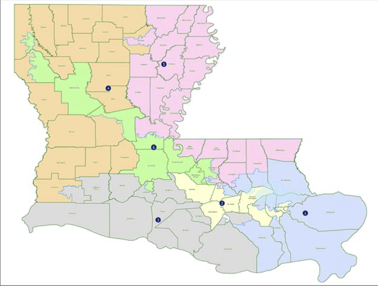 What Will The Future Look Like After Louisiana v. Callais?