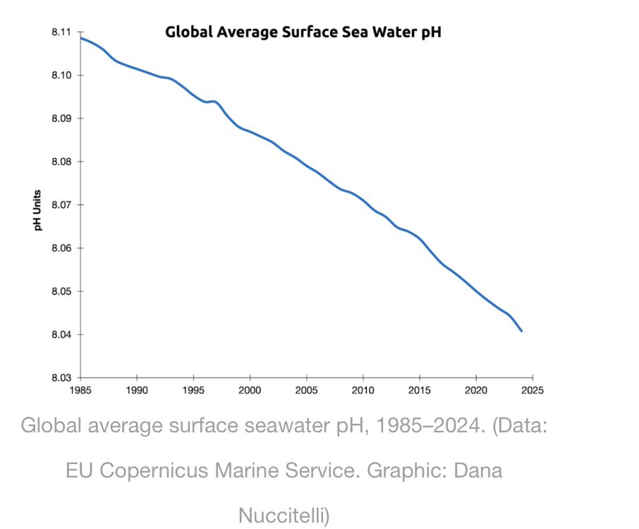 Ocean "Acidification" -- Another Fake Scare That Won't Go Away