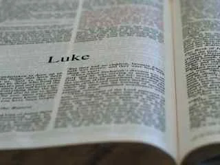 302-Luke-PageShots.jpg