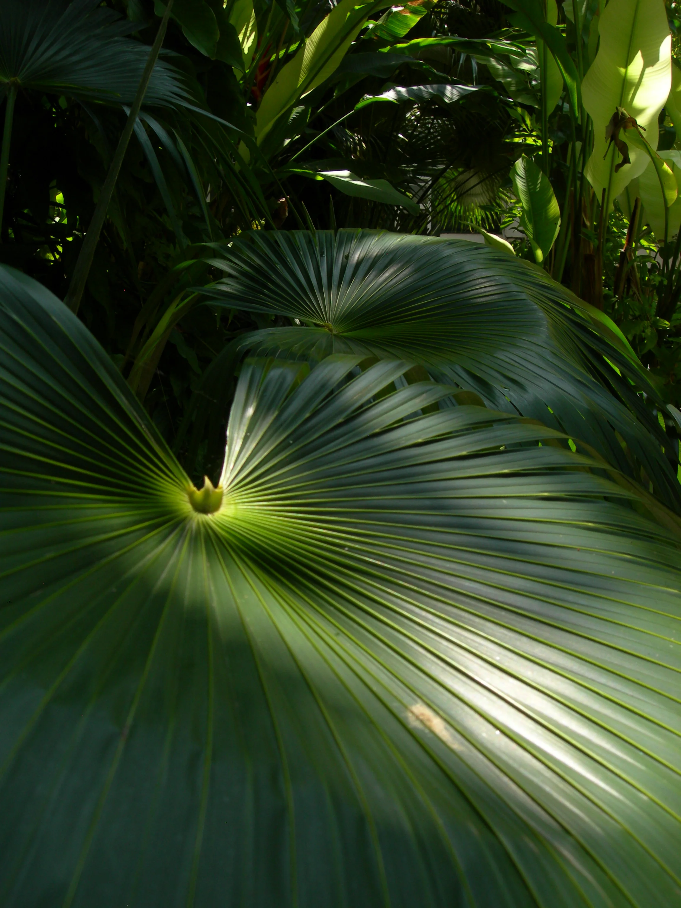 DSCN5657.JPG