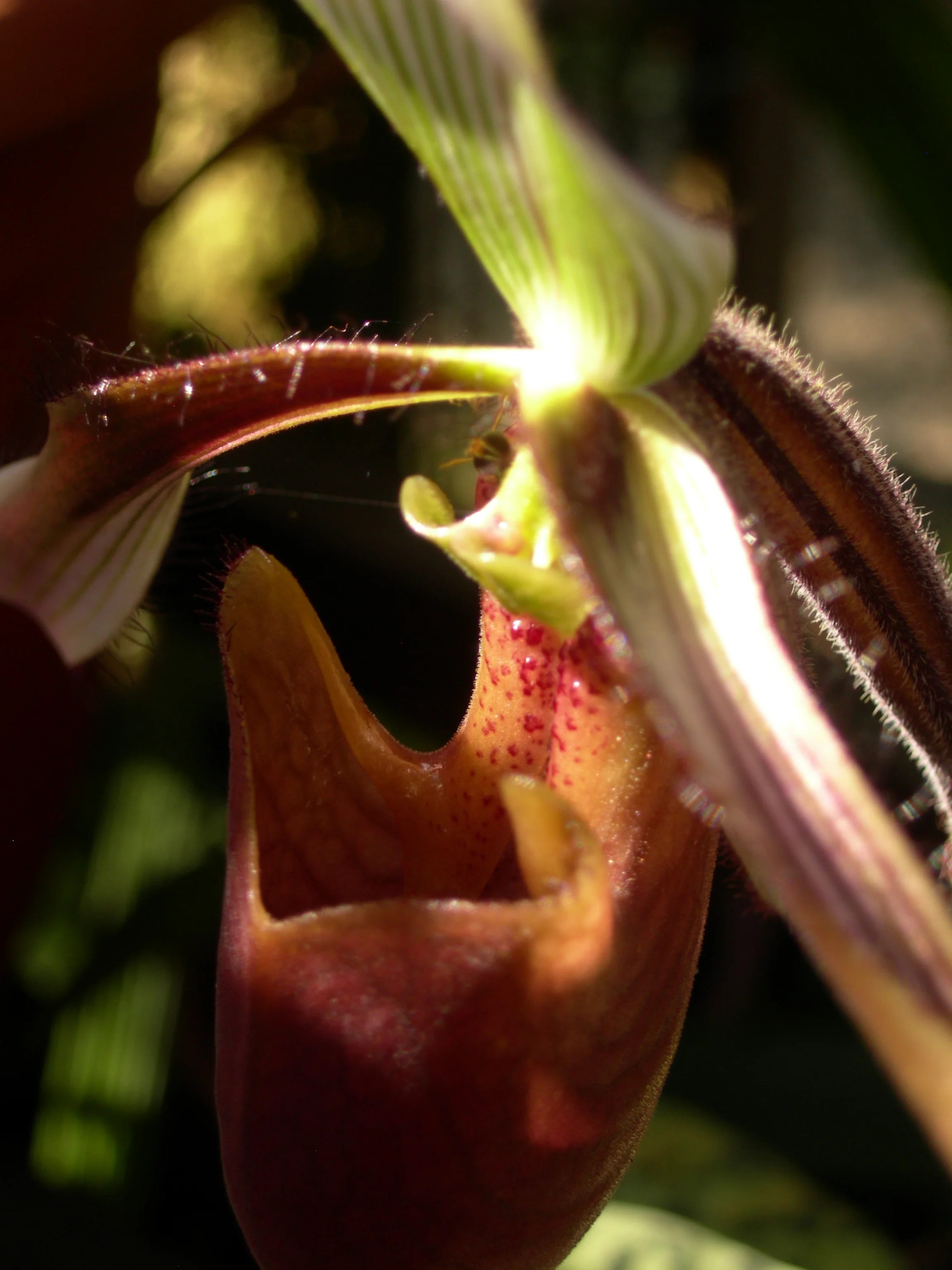DSCN4368.JPG