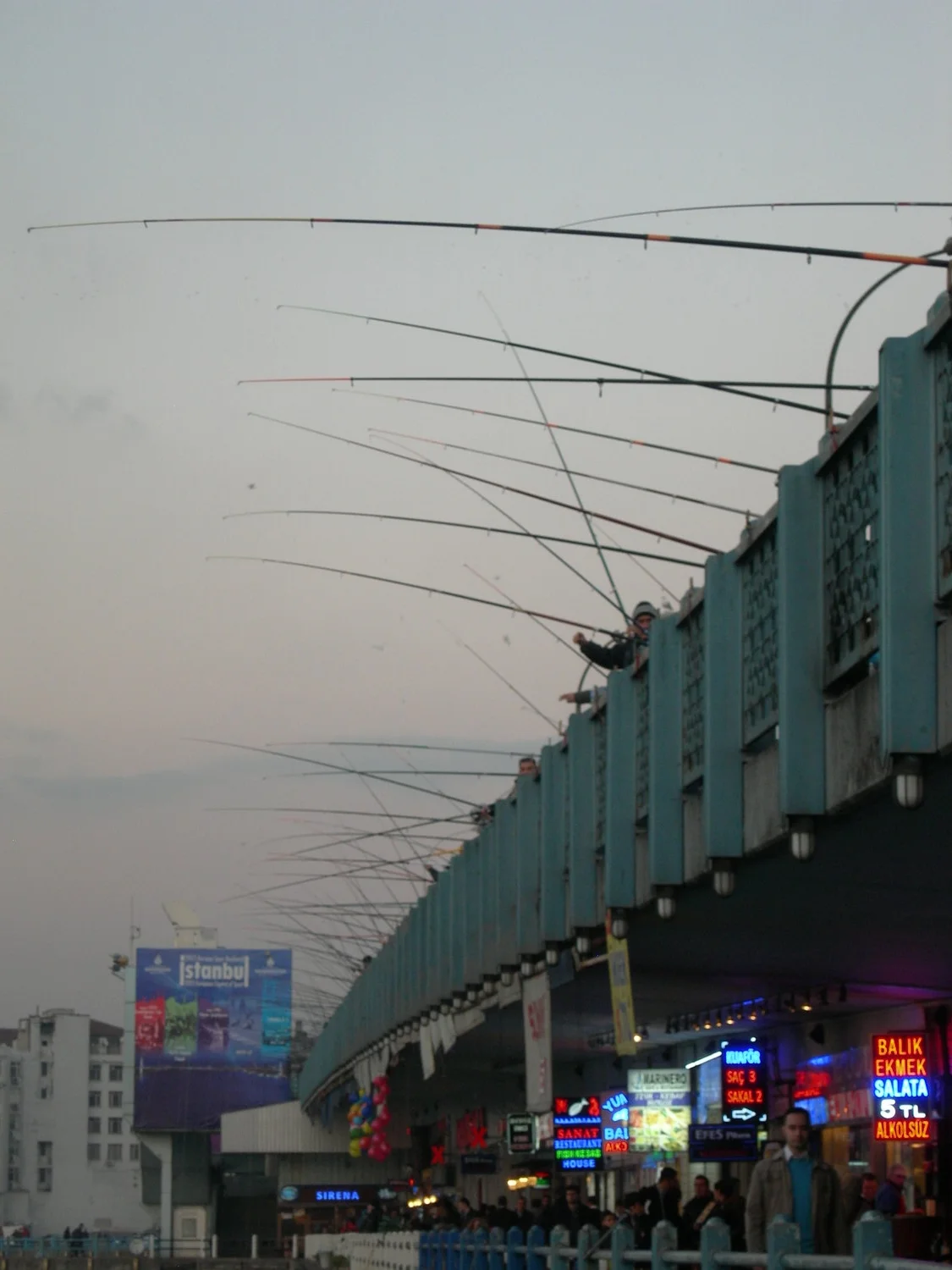 DSCN7929.JPG