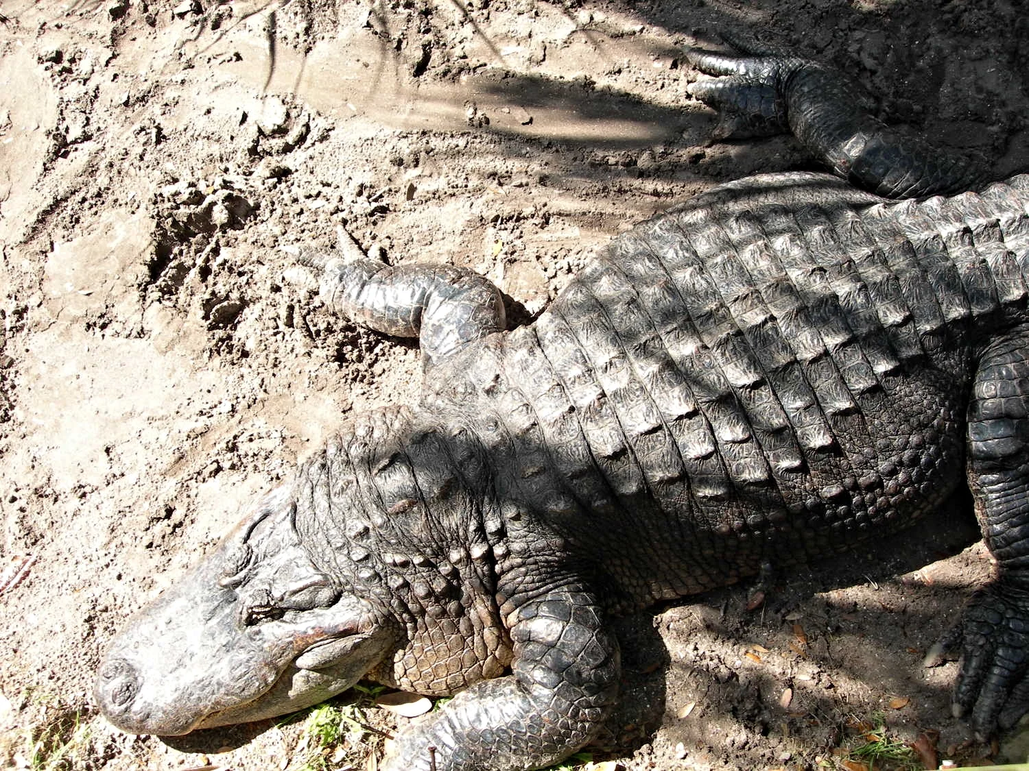 DSCN5213.JPG