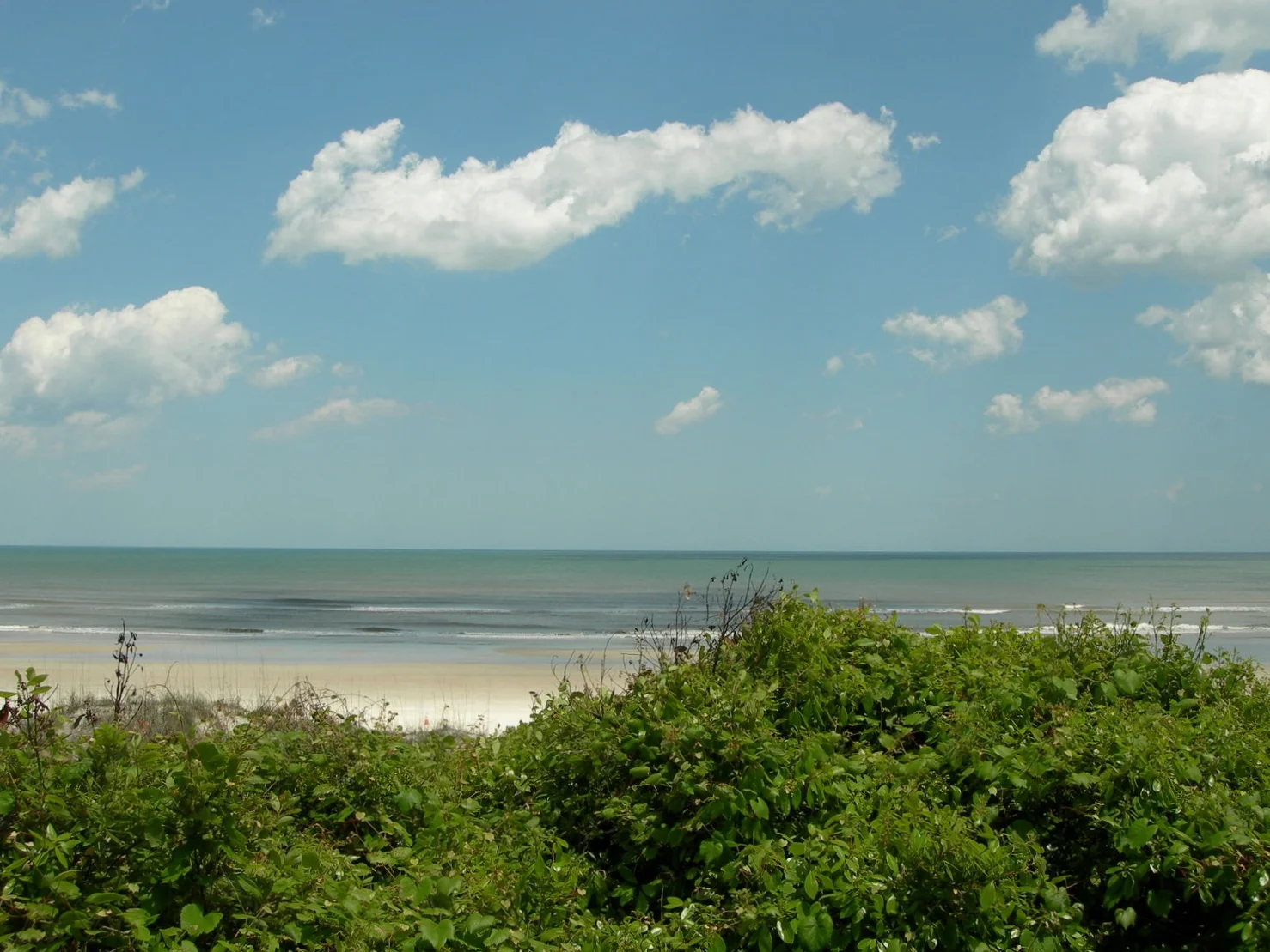 DSCN5274.JPG